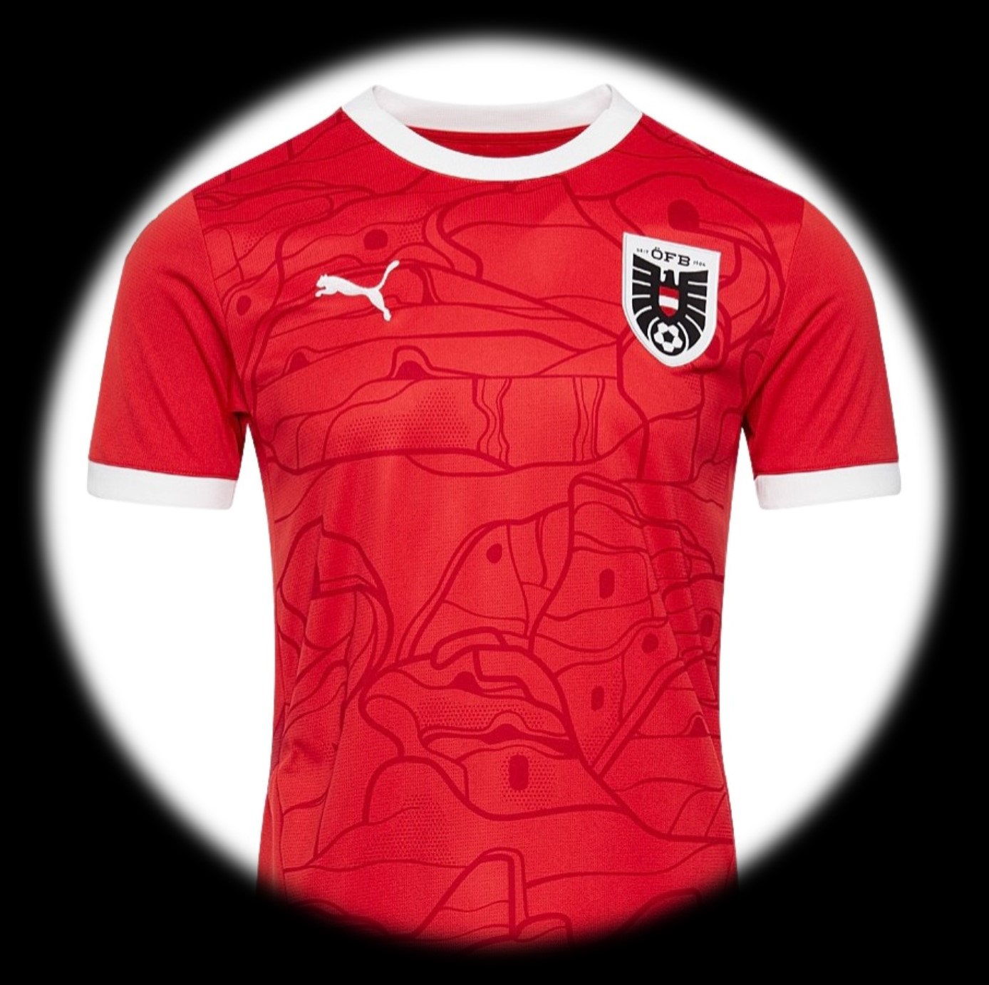 foto de equipo para Austria