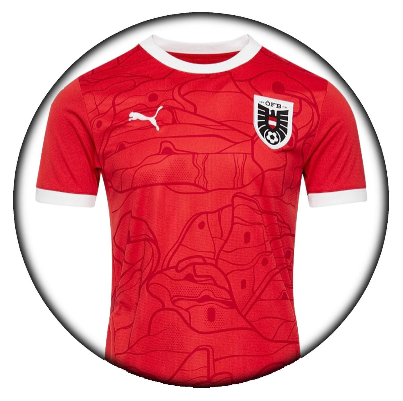 foto de equipo para Austria