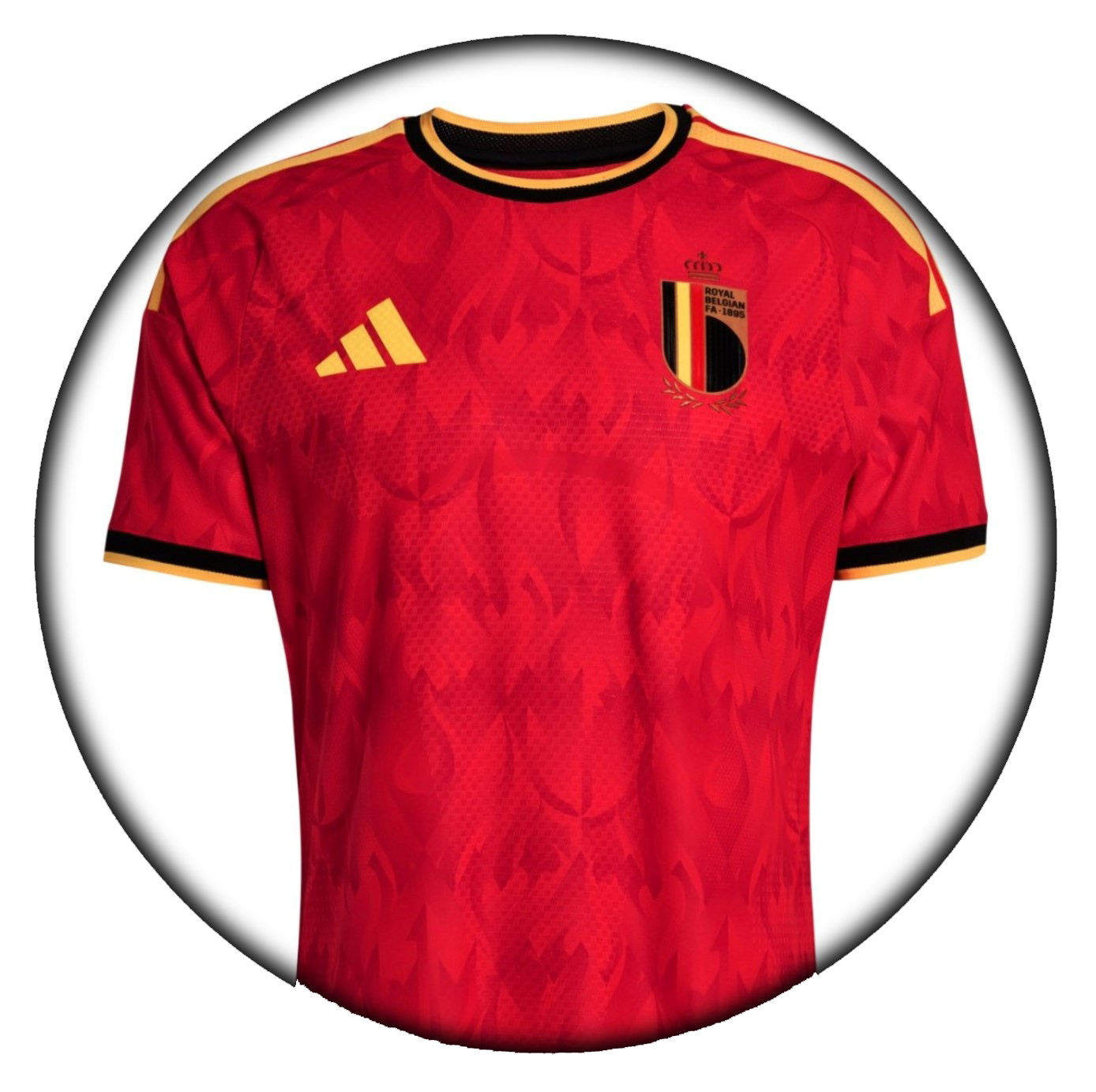 foto de equipo para Belgica