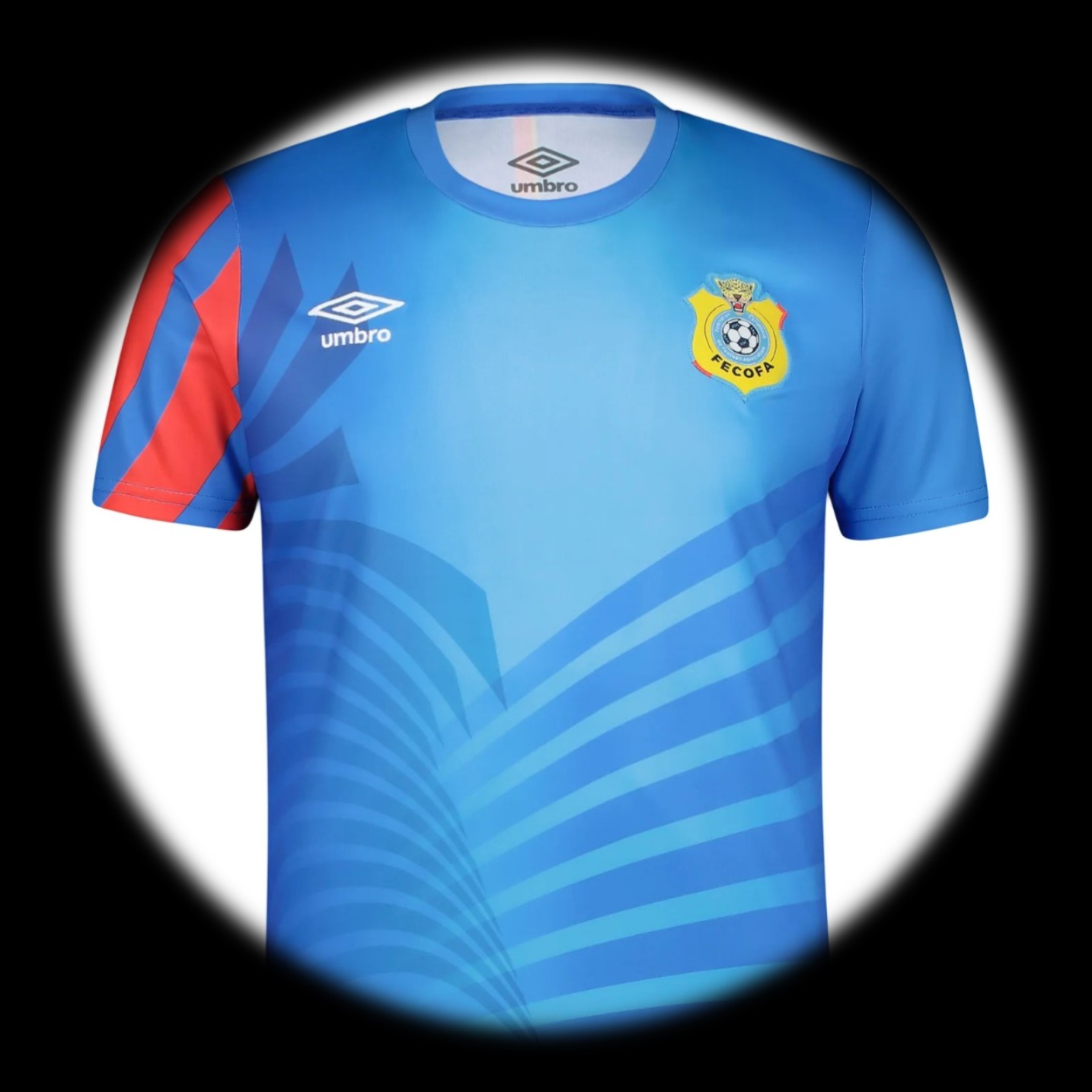 foto de equipo para RD Congo