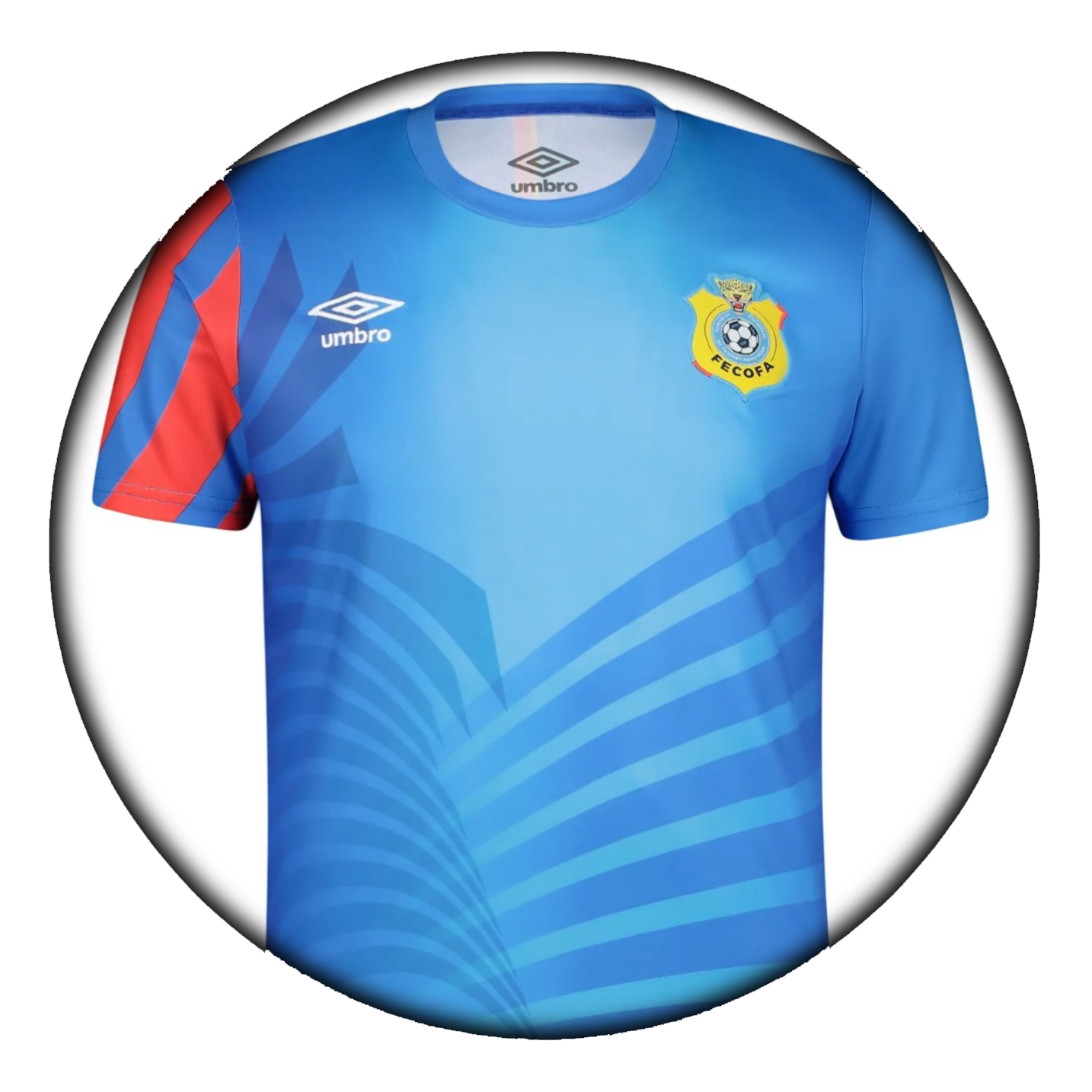 foto de equipo para RD Congo