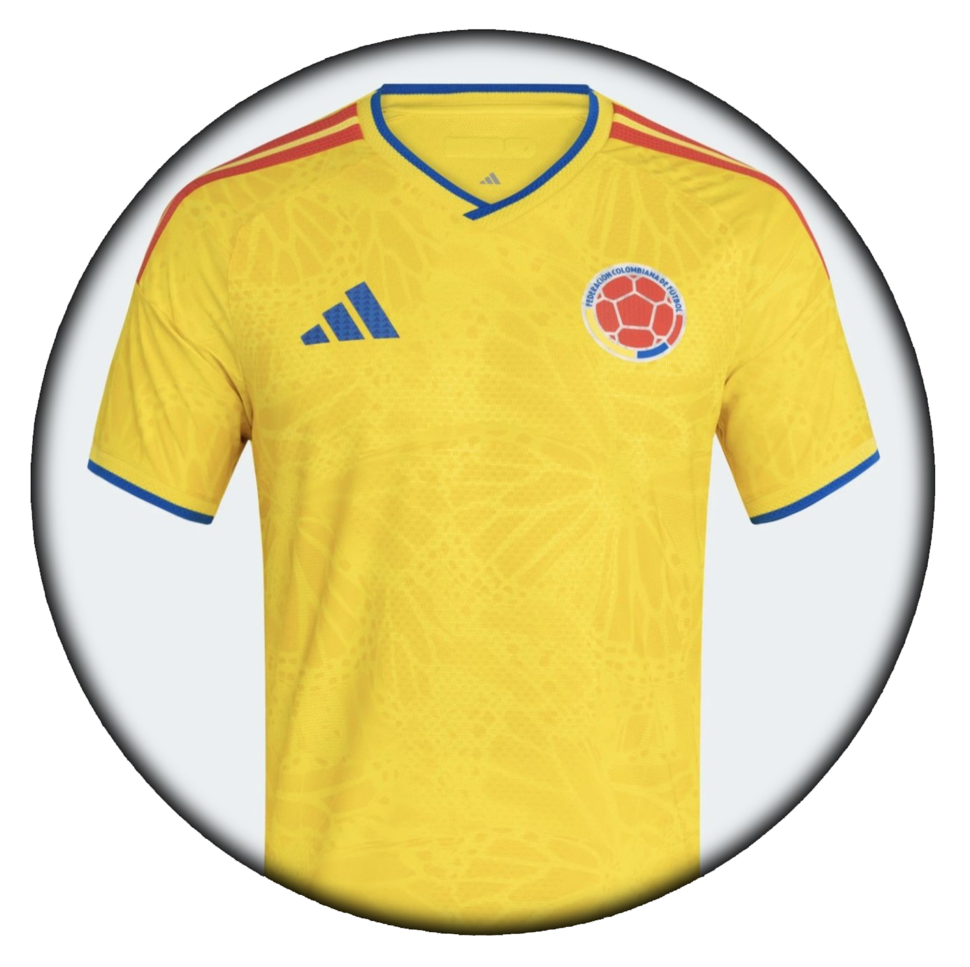 foto de equipo para Colombia