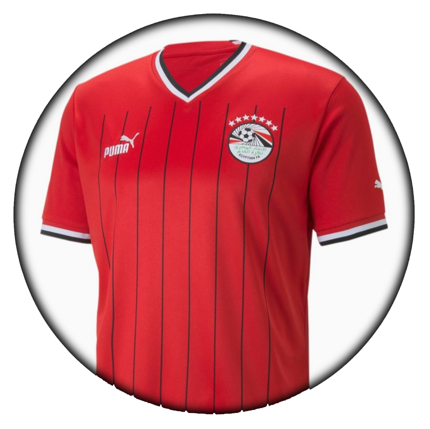 foto de equipo para Egipto