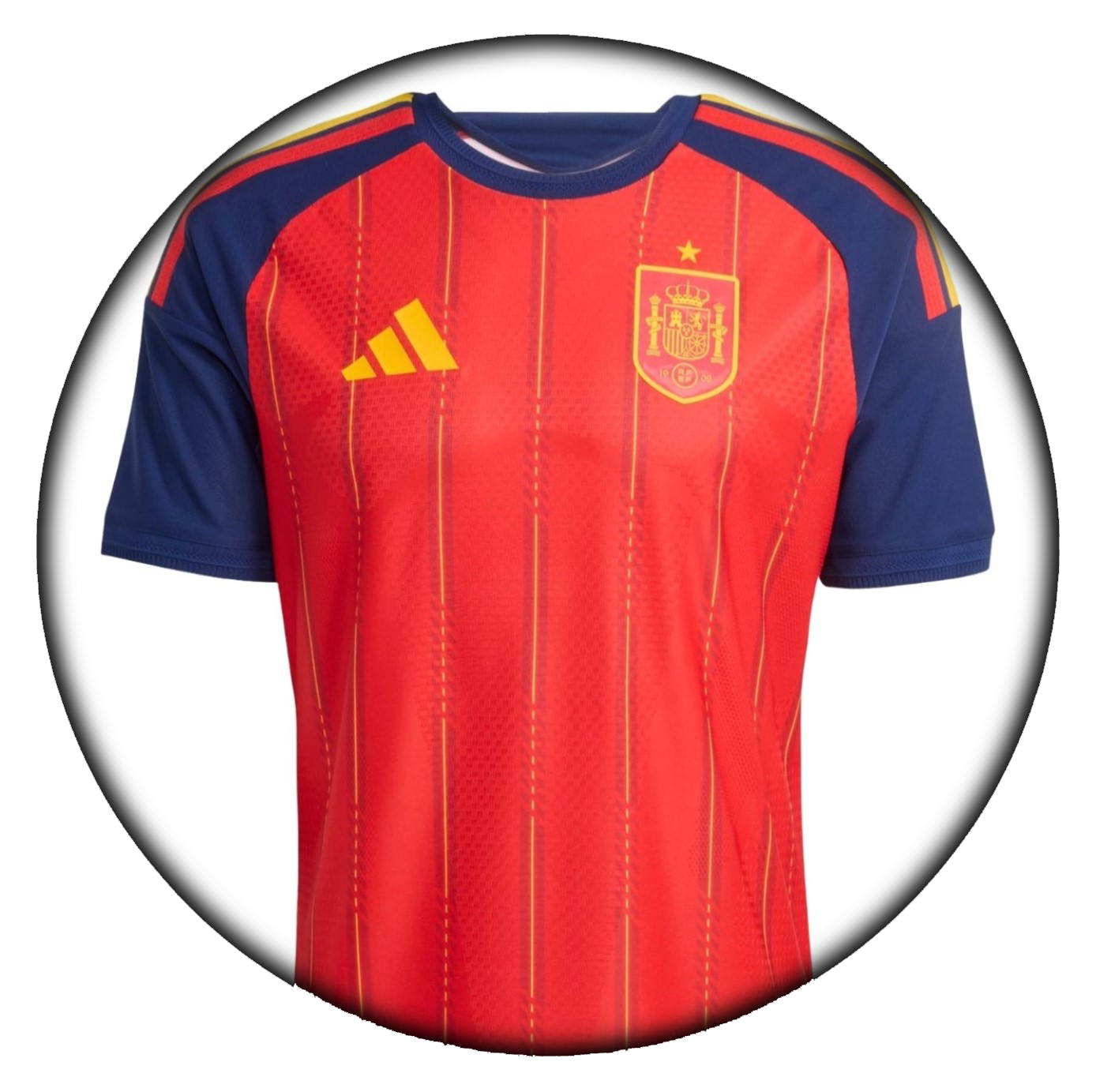 foto de equipo para España