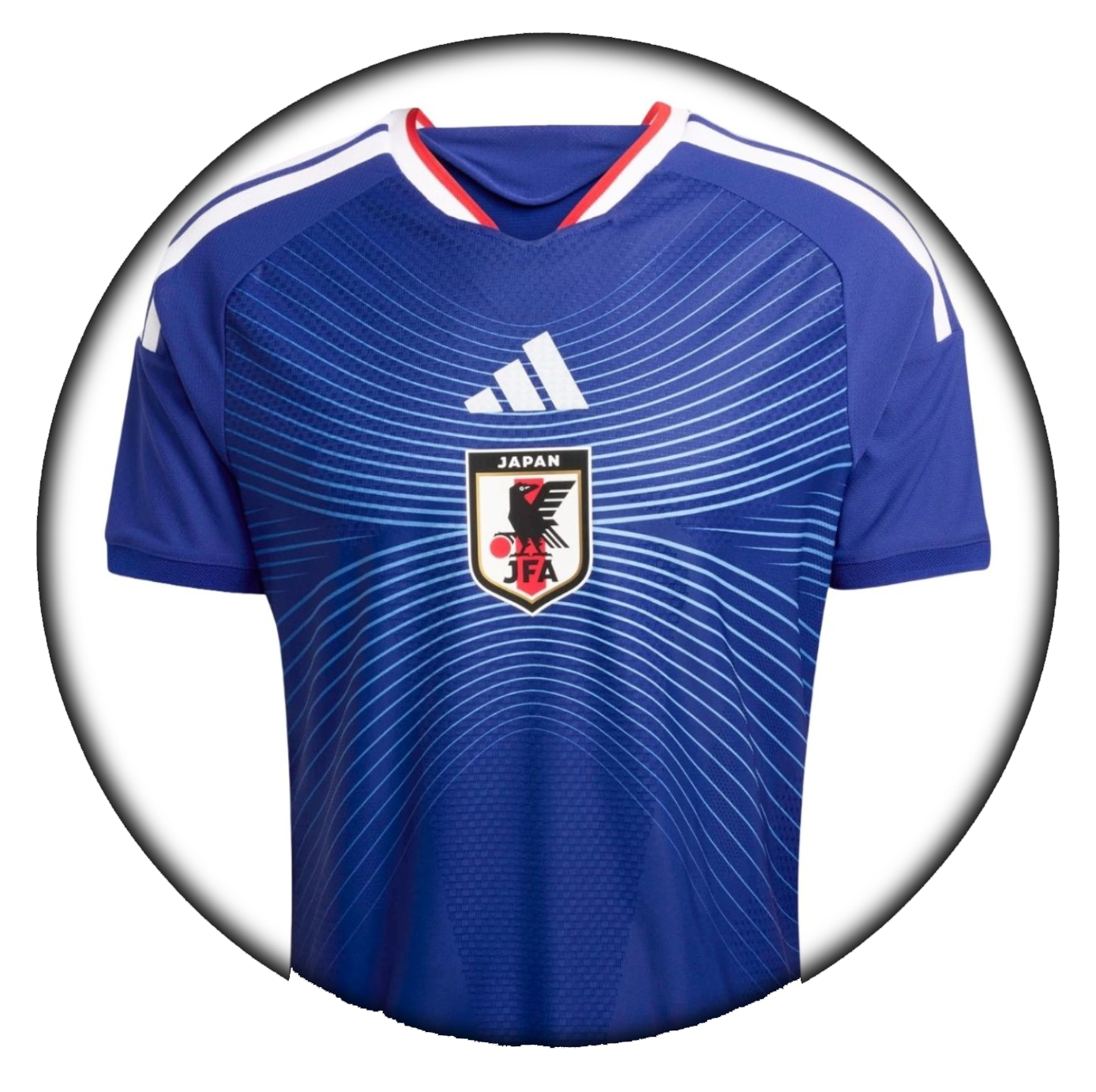 foto de equipo para Japon