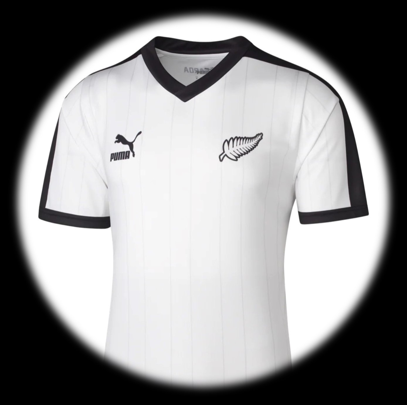 foto de equipo para Nueva Zelanda