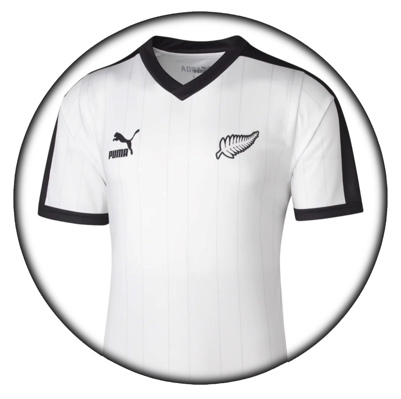 foto de equipo para Nueva Zelanda