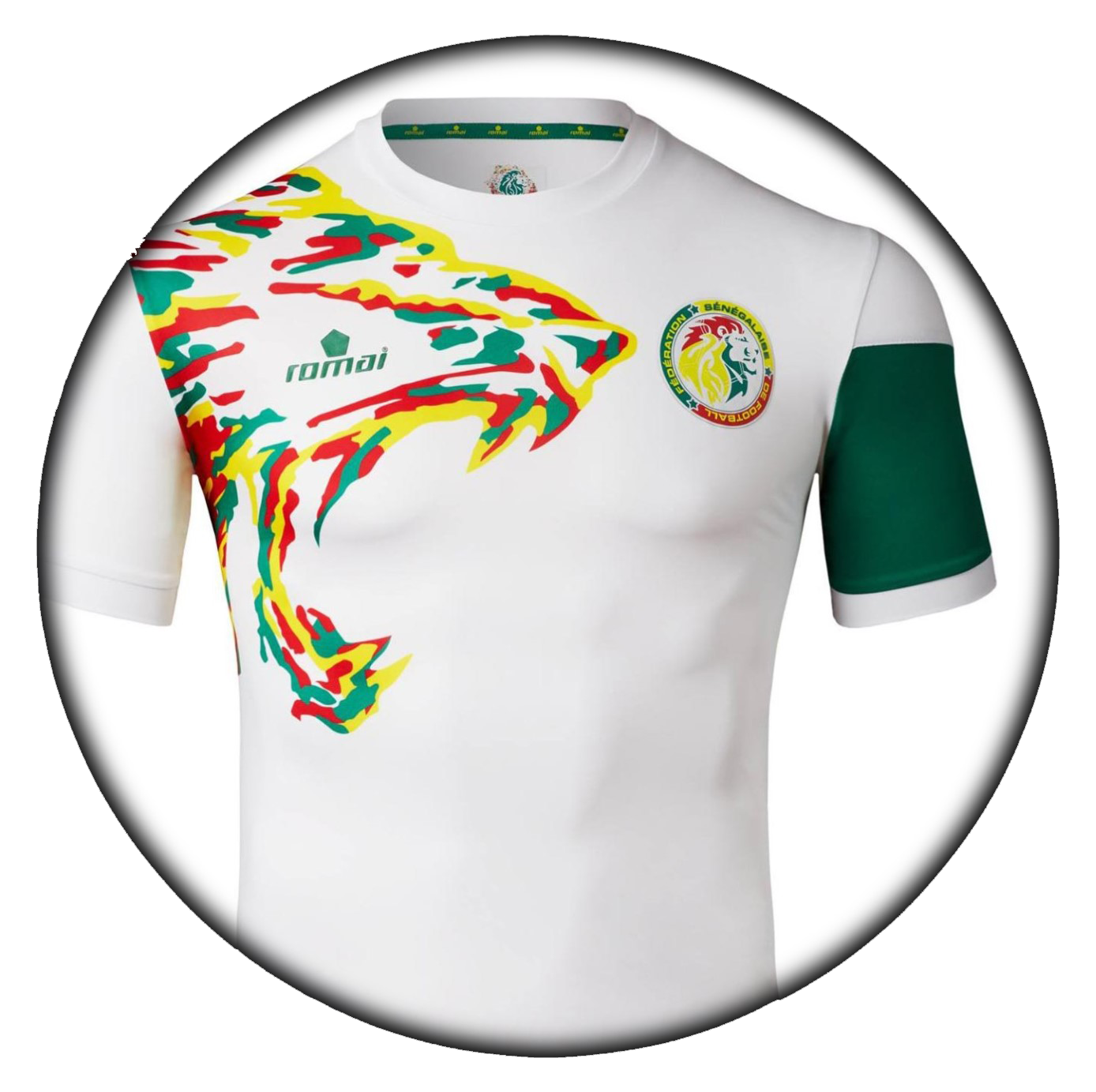 foto de equipo para Senegal