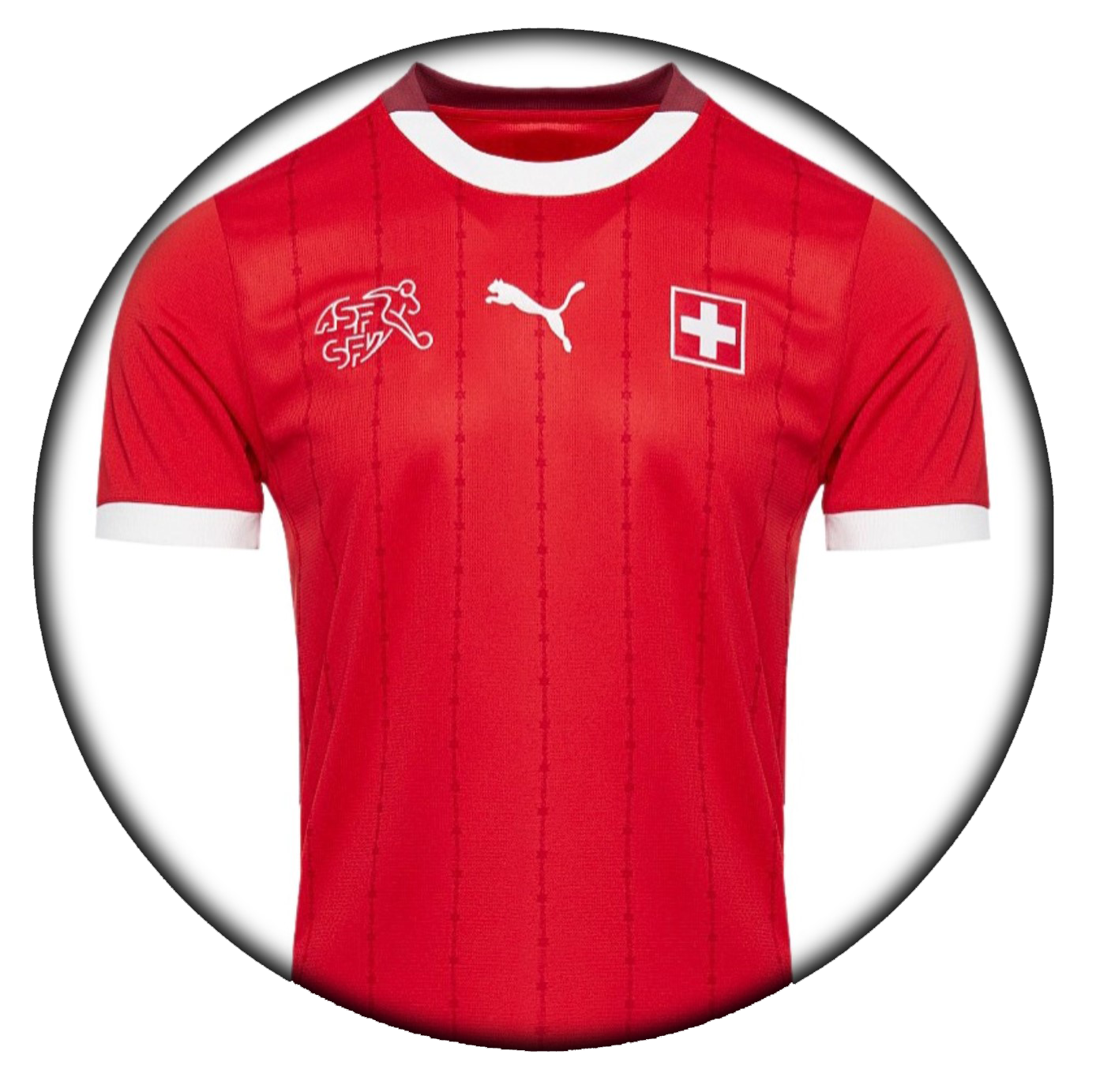 foto de equipo para Suiza