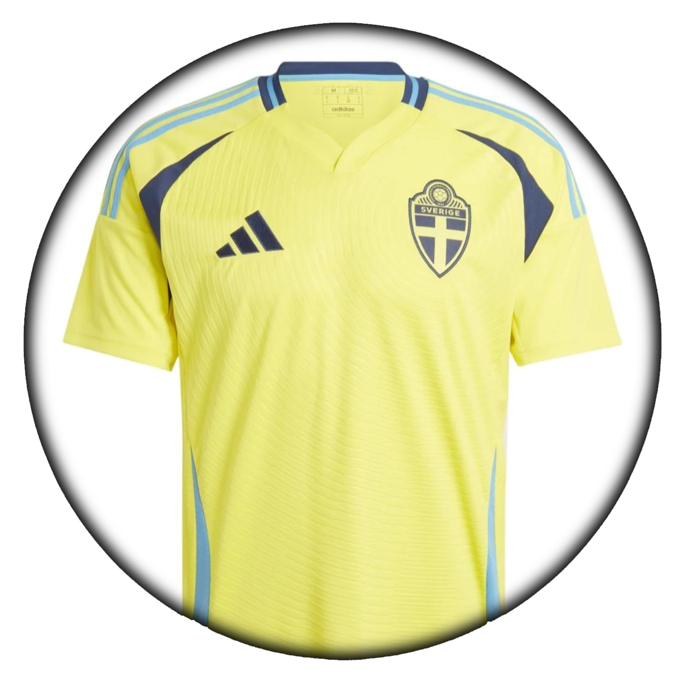 foto de equipo para Suecia