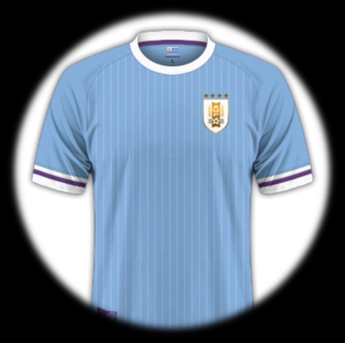 foto de equipo para Uruguay